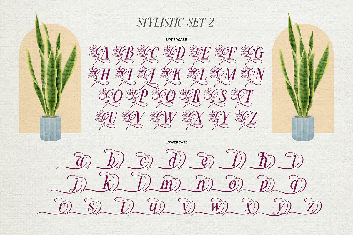 Meillona Typeface, a Serif Font by alit design (Photo 9 of 17)