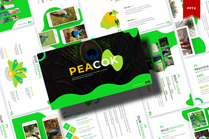 Peacok - Powerpoint Template