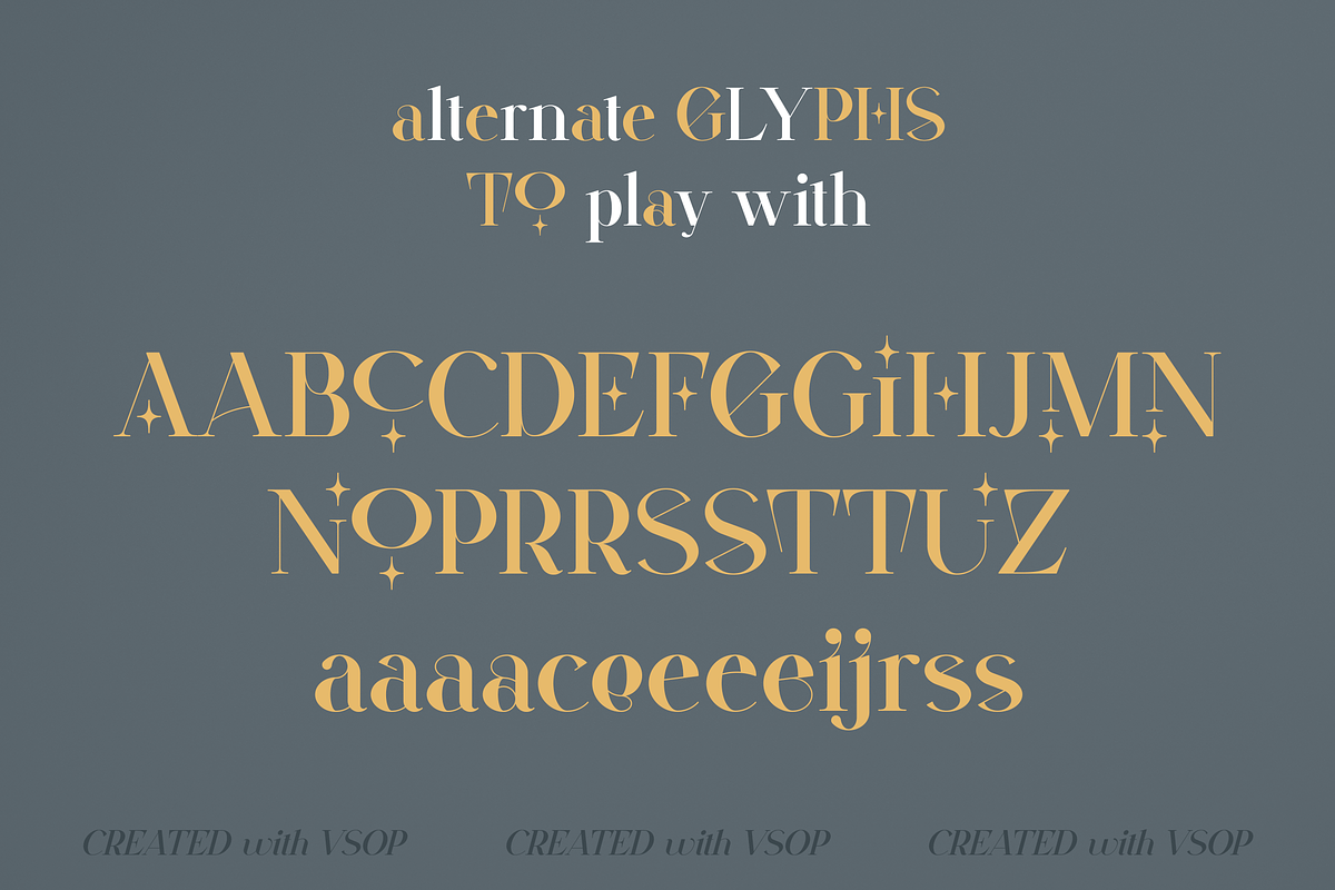 VSOP - elegant serif, 70 fonts, a Serif Font by VP Fonts (Photo 20 of 21)