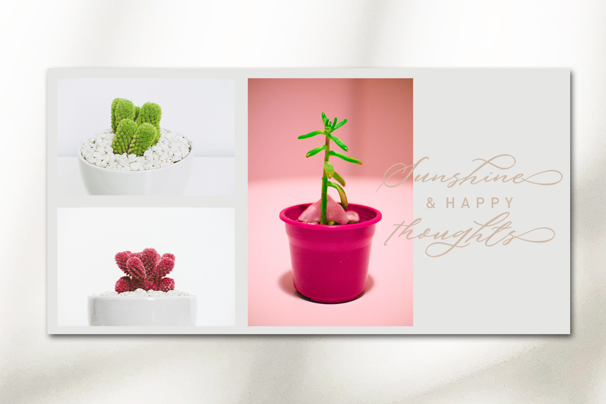 Anthony Script Font Duo preview 3