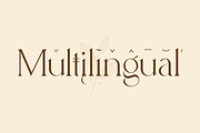 Lucky Change - Luxury Serif Font, a Serif Font by Youthlabs Studio (Thumbnail 6 of 20)