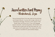 Peomy Extended Font & Illustrations, a Script Font by Wild Ones (Thumbnail 3 of 13)