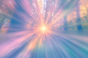 Bright light through trees, a Photo by Beautiful things