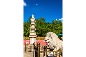 Stone lion and pagoda at the Four Great Regions Temple - Summer Palace, Beijing, an Architecture Photo by Leonid Andronov