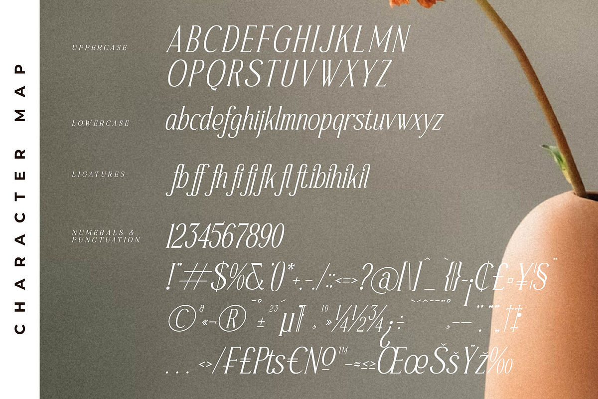 Safilms Crawford Modern Serif Font, a Serif Font by Storytype Studio (Photo 14 of 15)