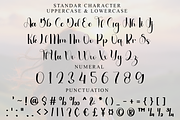 German, a Handwritten Font by FreshTypeINK (Thumbnail 5 of 8)