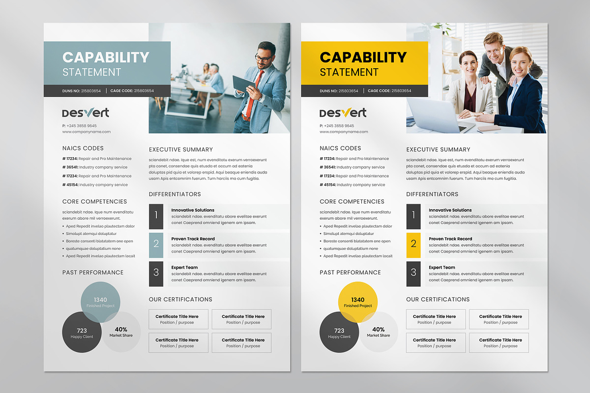 Business Capability Statement, A4, a Brochure Template by Niofix (Photo 5 of 8)