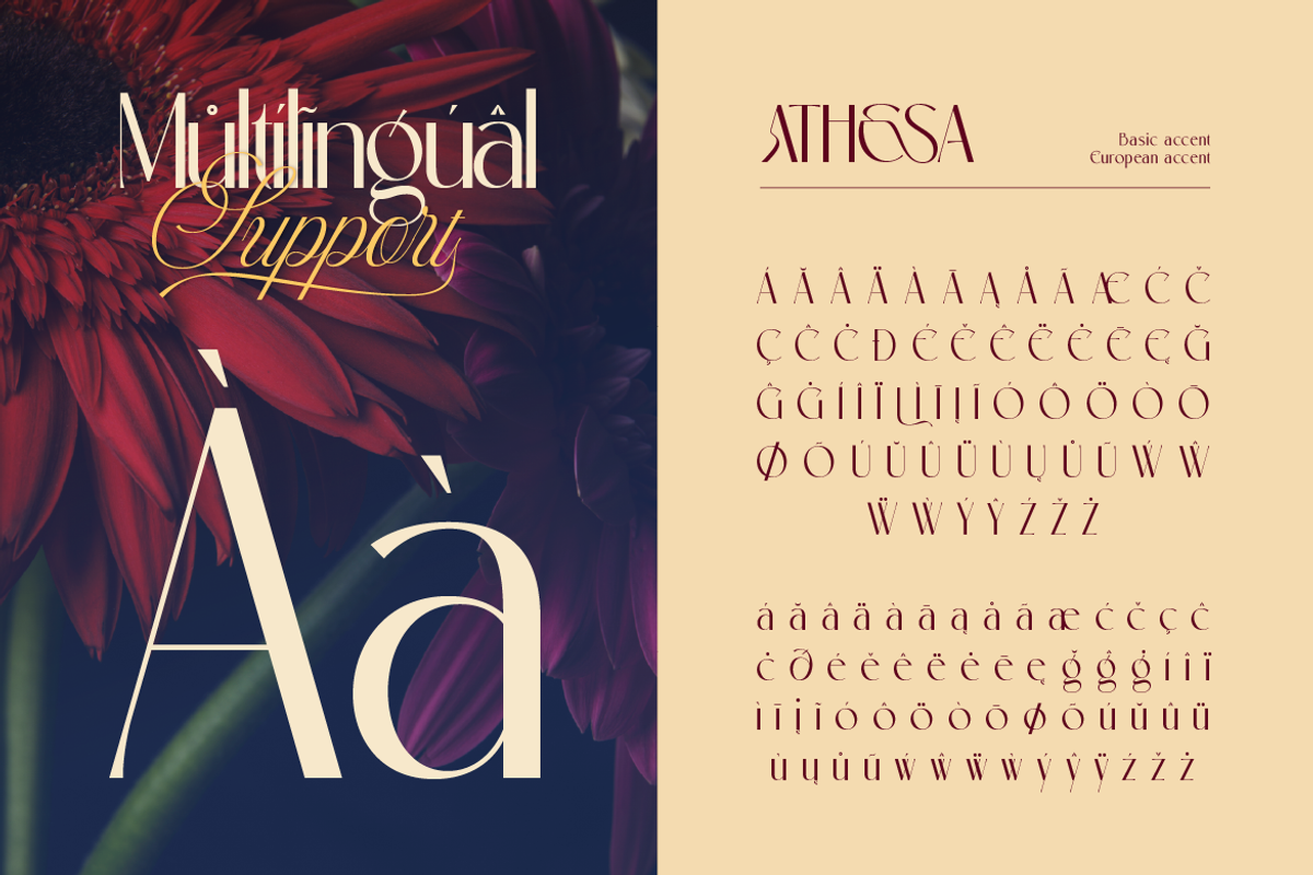 Athesa Luxurious, a Script Font by Burntilldead (Photo 11 of 12)