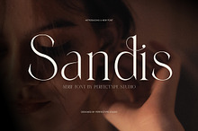 Sandis Elegant Serif Font
