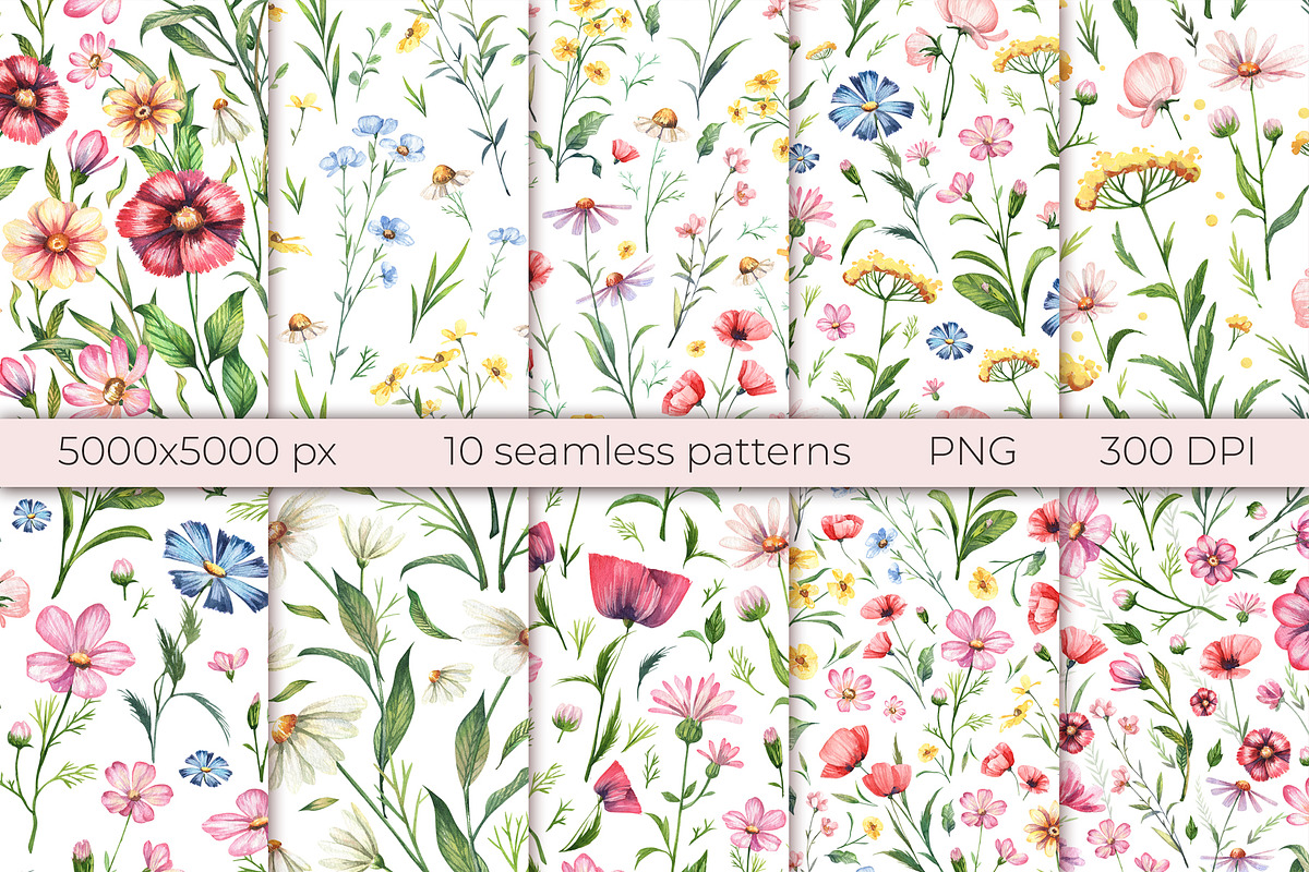 Wild flowers watercolor collection, a Decorative Illustration by Dashamoony (Photo 3 of 3)