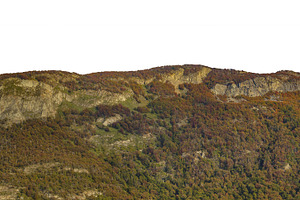 Forest and mountains isolated photo, a Nature Photo by DanFLCreativo