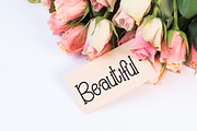 Happy Weekend | Script Font, a Script Font by Scratchones (Thumbnail 5 of 8)