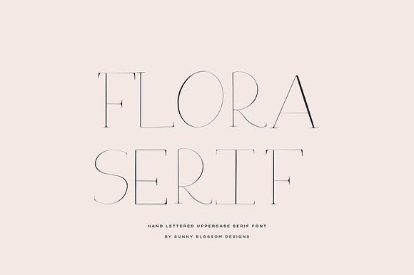 Flora Serif - Modern Serif Font preview 6