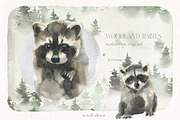 Woodland Babies Wild Animals Clipart, an Animal Illustration by whiteheartdesign (Thumbnail 10 of 28)