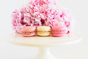 Pink peony stock photo bundle containing pink, peony, and fowers, a Business Photo by Savvy Stock Shop (Thumbnail 4 of 16)