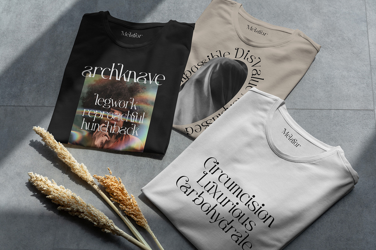 Misslena, a Serif Font by din-studio.com (Photo 2 of 10)
