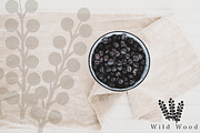 Wild Wood Nature Illustration Pack, an Animal Illustration by Jill Adams (Thumbnail 9 of 11)