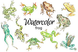 Frog watercolor clipart