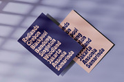 Canvas - Display Font, a Script Font by Alpaprana (Thumbnail 6 of 12)