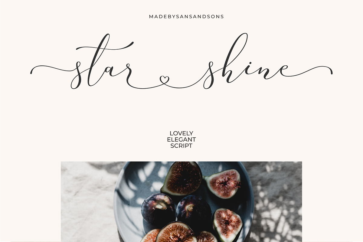 Silver Future - Romantic Script, a Script Font by Sans & Sons (Photo 2 of 7)