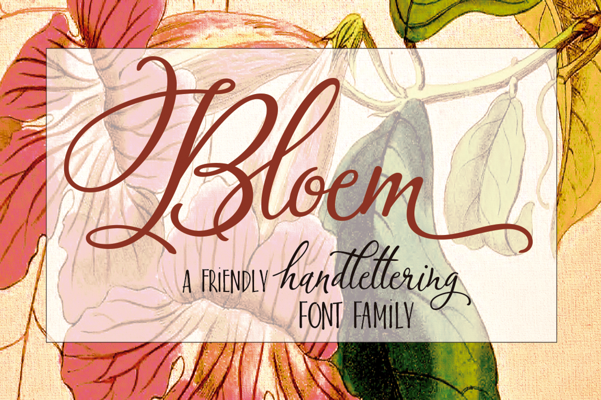 Bloem Script & Sans