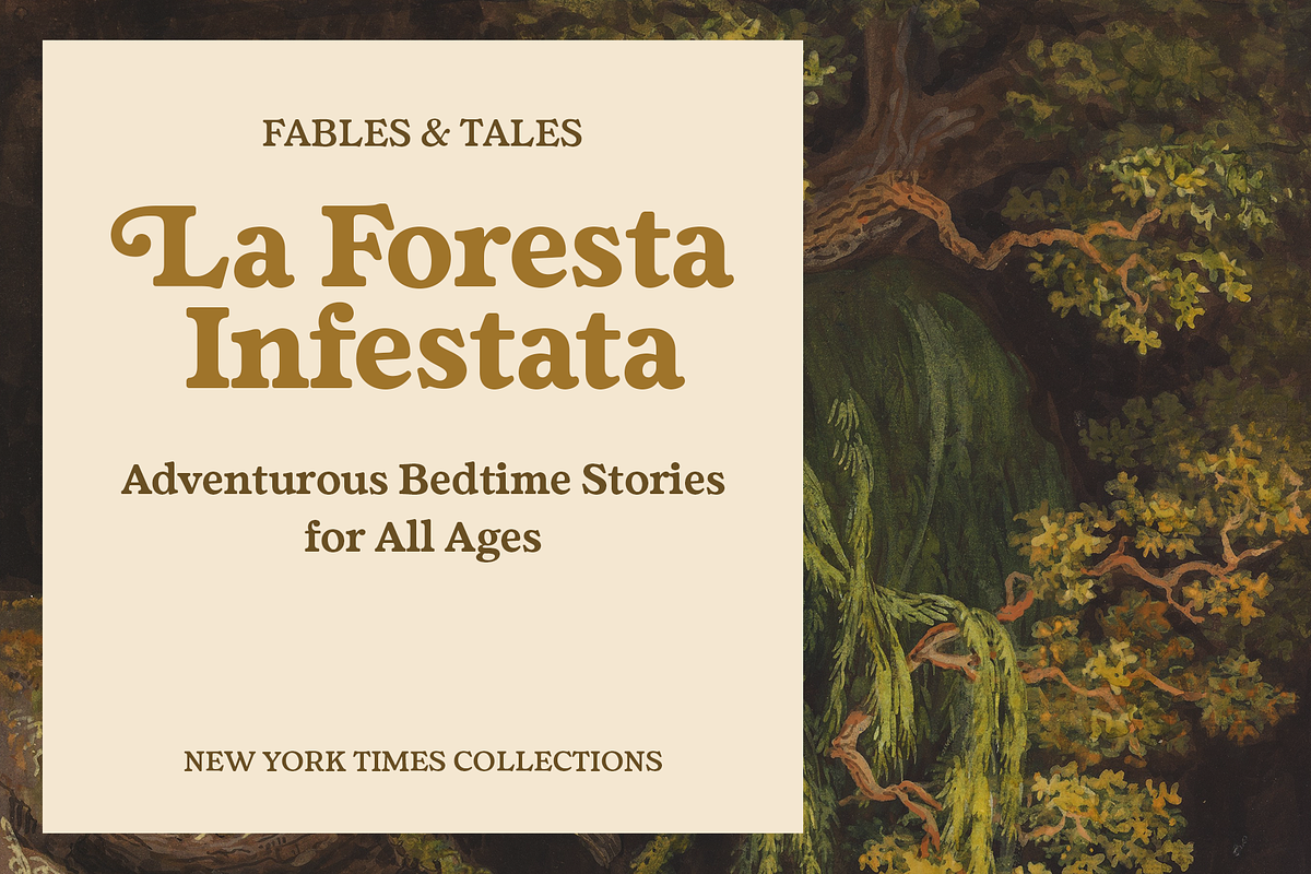 Fedro - 14 Fonts, a Serif Font by Nasir Udin (Photo 13 of 20)