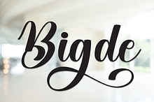 Bigde | Script Font