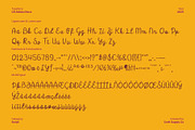 CS Abiola Disco, a Script Font by Craft Supply Co. (Thumbnail 8 of 8)