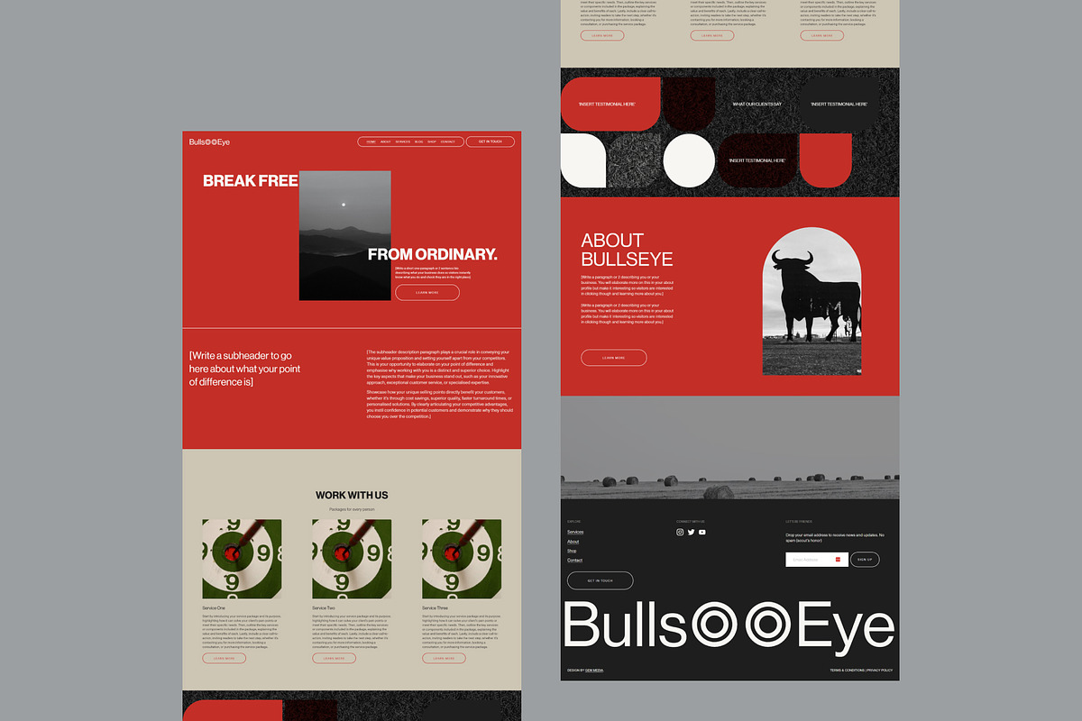 Bullseye Squarespace Website Template preview 3