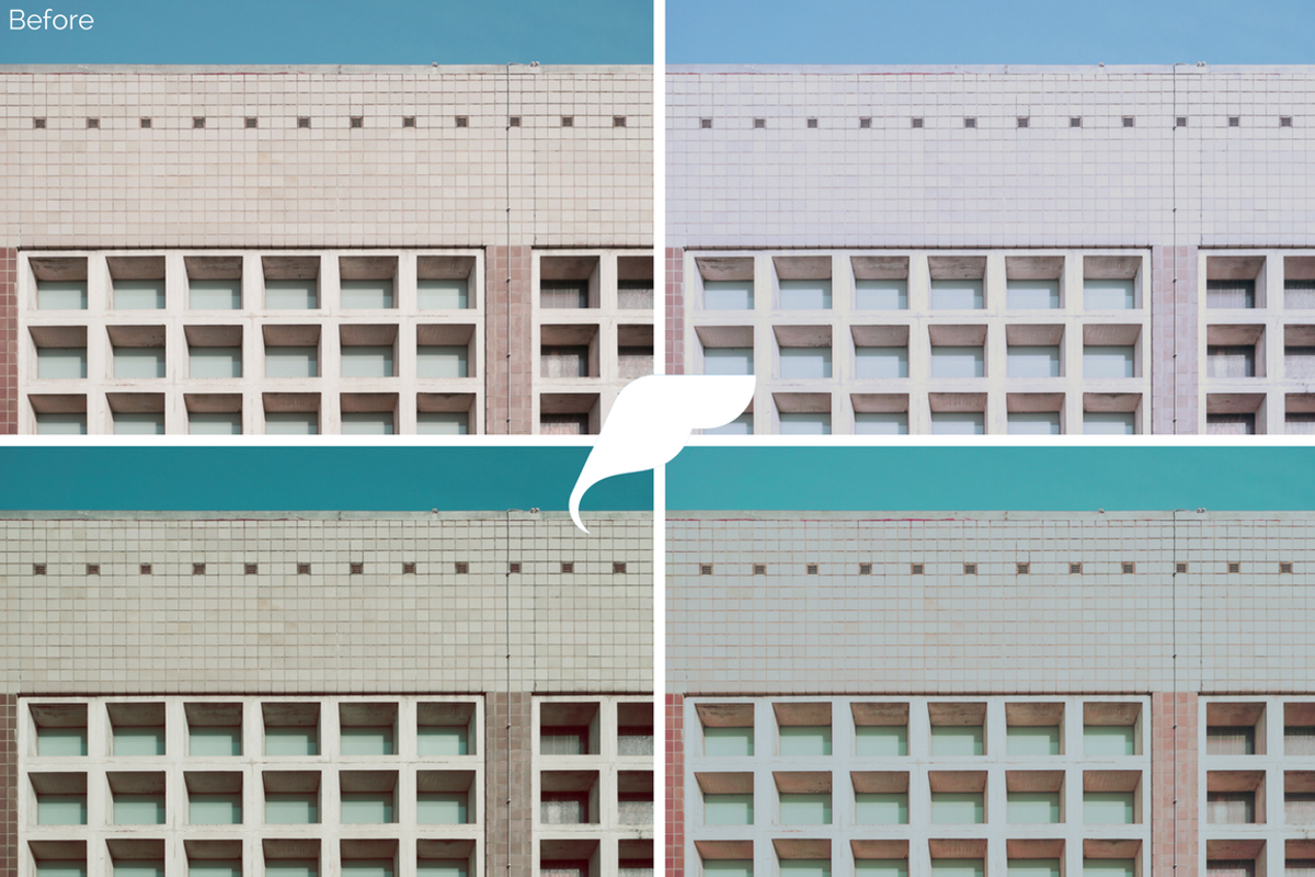 25 Film Tone Lightroom Presets I preview 5
