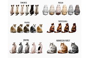 Cat Mom, Watercolor Cats Clipart PNG, a Person Illustration by Podcliparts (Thumbnail 6 of 6)