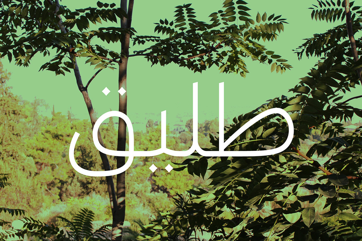 Taleeq - Arabic Typeface | خط طليق