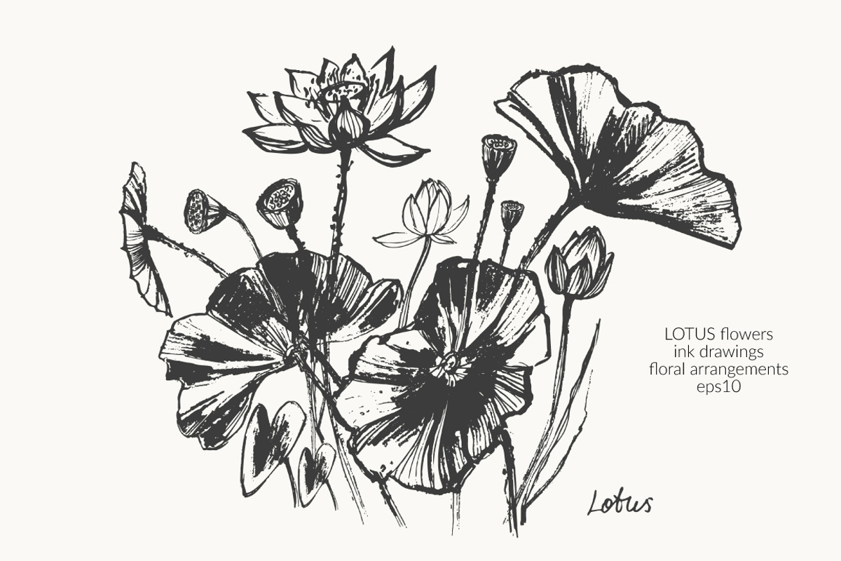 Lotus floral set, a Decorative Illustration by katya.bogina (Photo 1 of 5)