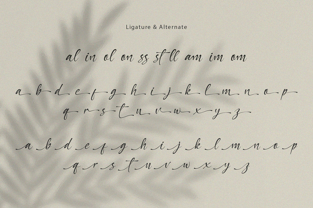 Qallies – Elegant Handwritten Font, a Handwritten Font by BrandSemut (Photo 11 of 11)