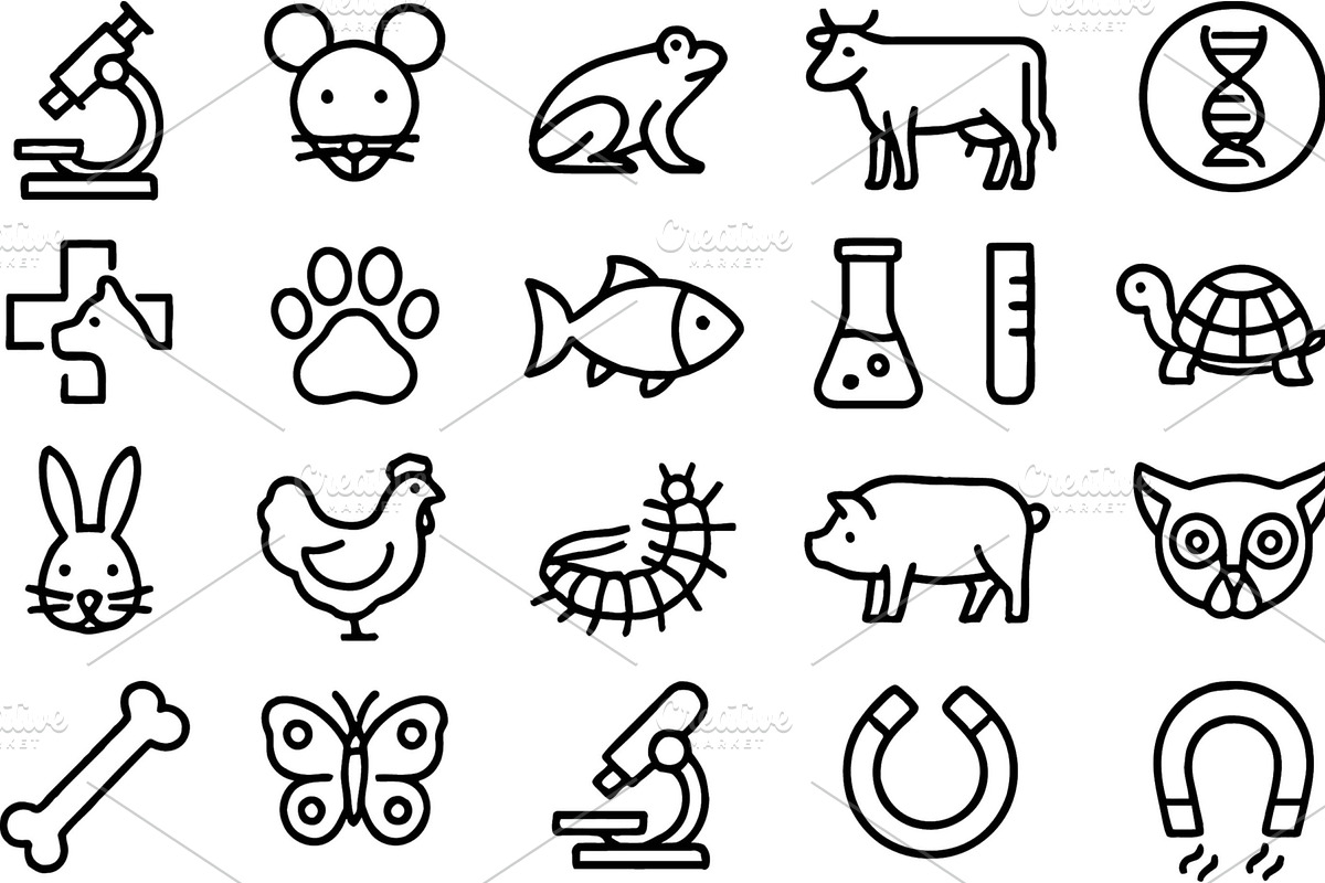 Exploring the diversity of life with, an Animal Illustration by ZinetroN
