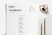Resume Template Professional, a Resume Template by LucaTheme (Thumbnail 4 of 10)