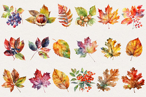 Autumn Leaves Clipart. AI