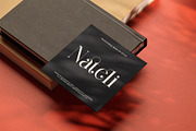 Gilgha Elegant Ligature Serif Font, a Serif Font by Perfectype (Thumbnail 6 of 8)