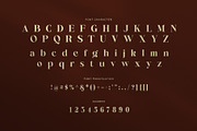 Garment Elegant Serif Font, a Serif Font by Perfectype (Thumbnail 6 of 7)