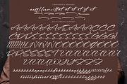 Ridgetone Garden, a Script Font by Integritype Studio (Thumbnail 12 of 15)