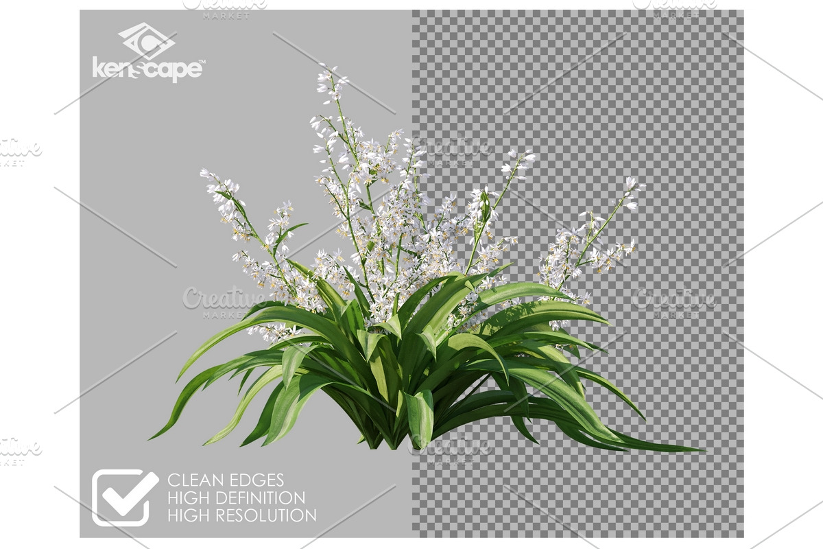 81 Assorted Plants Photo Overlays, a Nature Photo by KenScape (Photo 2 of 4)