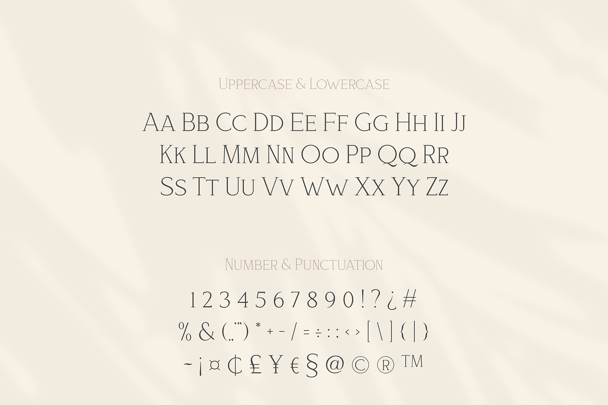 Bloomy Korea - Modern Serif Font, a Serif Font by Artchitype Studio (Photo 8 of 12)