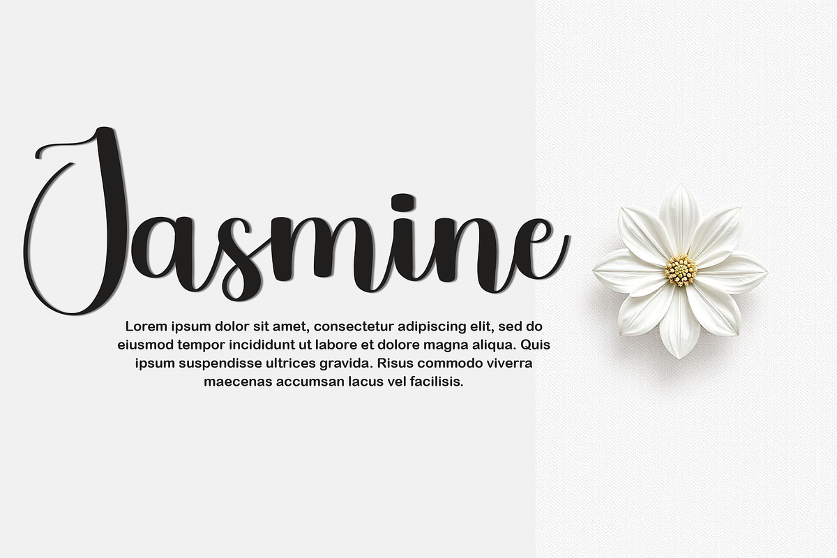 Trainer Fantasy, a Handwritten Font by InermediaSTUDIO (Photo 3 of 8)