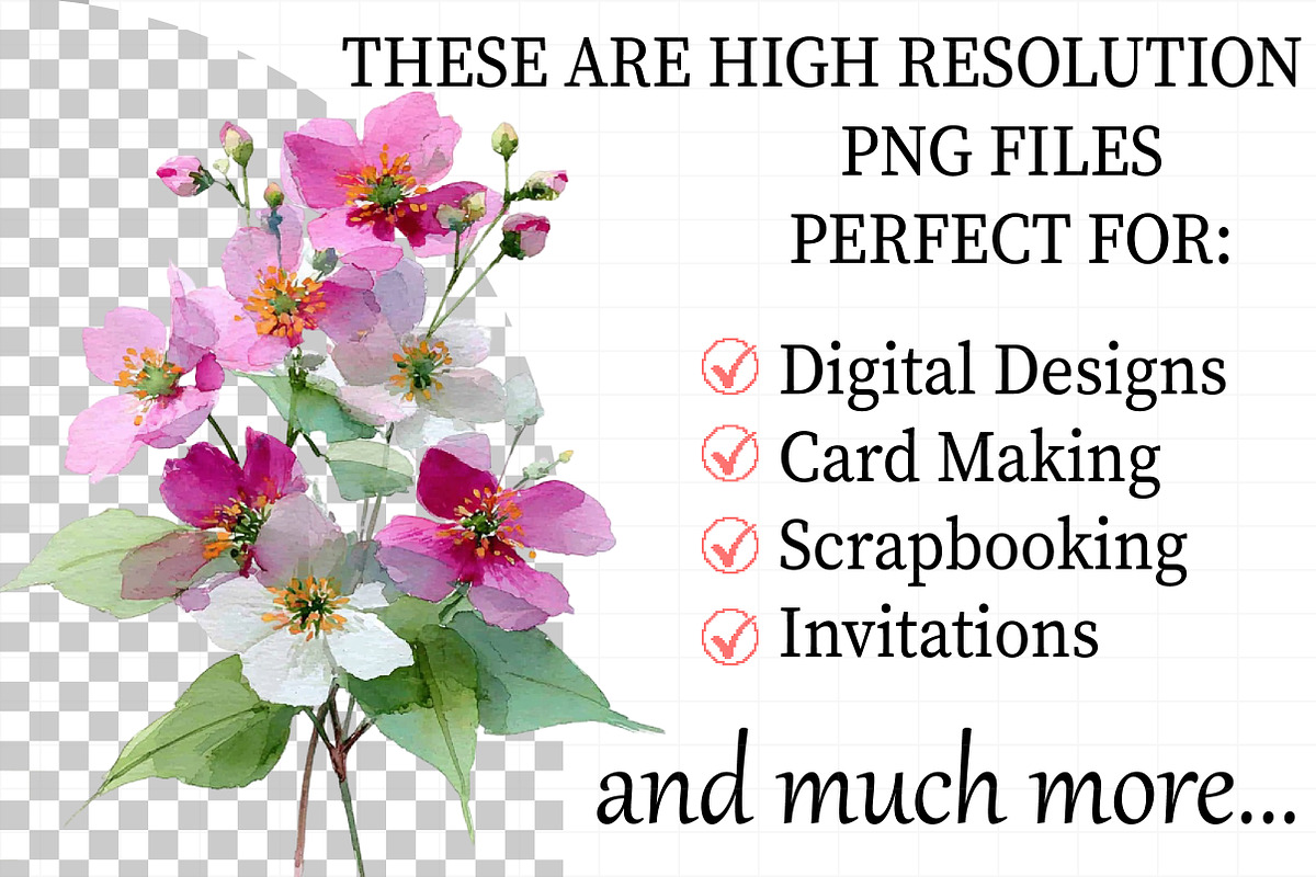 Wild Flowers Floral Border Clipart S, an Illustration by Daily.Designs (Photo 2 of 7)