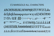 CS Marigold – Classic Font, a Serif Font by Craft Supply Co. (Thumbnail 8 of 8)