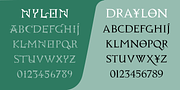 Nylon & Draylon, a Serif Font by Barnbrook Fonts (Thumbnail 6 of 6)