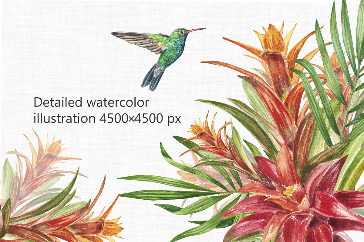 Tropic flower watercolor clip art, a Decorative Illustration by Nastya Che (Photo 6 of 9)