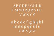 Torveil | Script Serif Typeface, a Serif Font by Artdez (Thumbnail 2 of 5)