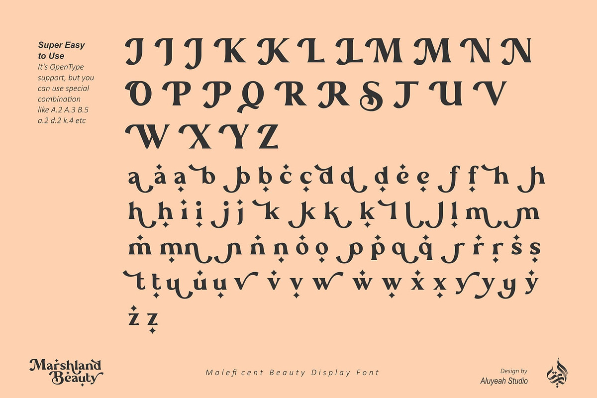 Marshland Beauty, a Font by Aluyeah Studio (Photo 14 of 15)