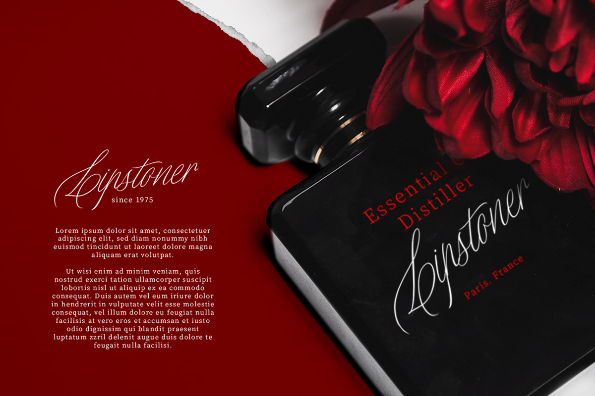 Distoniare - Pretty Script, a Script Font by Letterhend Studio (Photo 2 of 8)